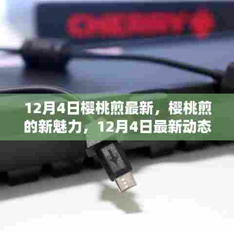 12月4日樱桃煎新魅力揭秘，正反观点探析下的最新动态