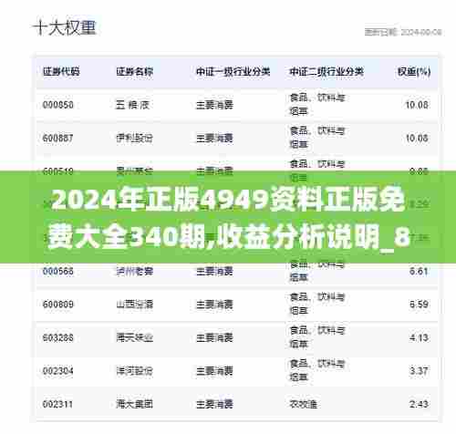 2024年正版4949资料正版免费大全340期,收益分析说明_8DM95.937-3