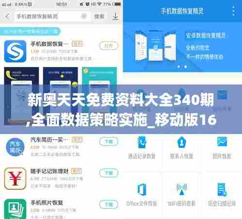 新奥天天免费资料大全340期,全面数据策略实施_移动版169.183-1