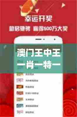 澳门王中王一肖一特一中,权威说明解析_2DM87.224-5