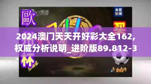 2024澳门天天开好彩大全162,权威分析说明_进阶版89.812-3