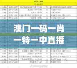 澳门一码一肖一特一中直播结果,安全性计划解析_标准版60.355-6