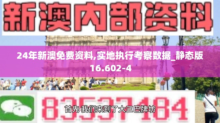 24年新澳免费资料,实地执行考察数据_静态版16.602-4