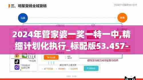 2024年管家婆一奖一特一中,精细计划化执行_标配版53.457-8