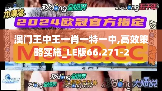 澳门王中王一肖一特一中,高效策略实施_LE版66.271-2