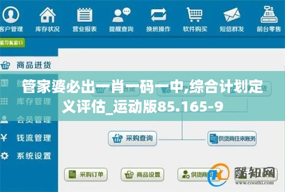 管家婆必出一肖一码一中,综合计划定义评估_运动版85.165-9