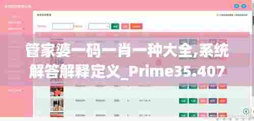 管家婆一码一肖一种大全,系统解答解释定义_Prime35.407-2