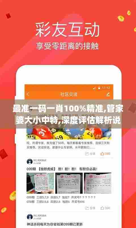 最准一码一肖100%精准,管家婆大小中特,深度评估解析说明_10DM67.102-8