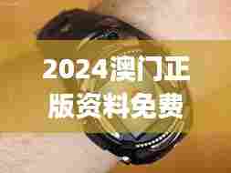 2024澳门正版资料免费大全340期,实时解析说明_watchOS28.792-1