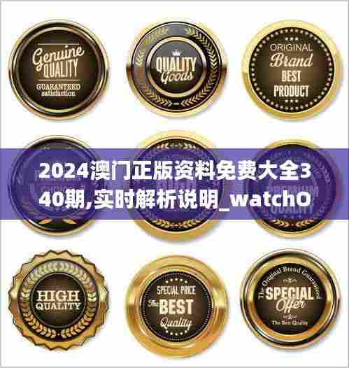2024澳门正版资料免费大全340期,实时解析说明_watchOS28.792-1