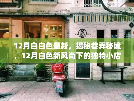 揭秘巷弄秘境,十二月白色新风尚下的独特小店之旅