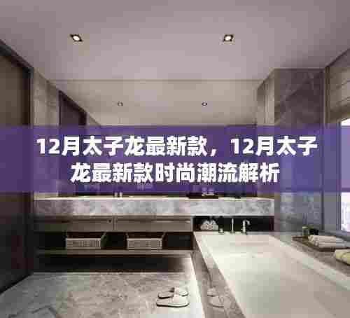 12月太子龙最新款时尚潮流解析,引领潮流前沿的时尚新品