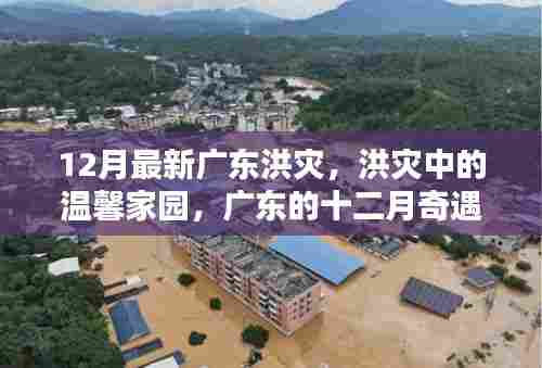 张口掉舌 第6页