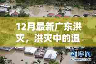 广东洪灾下的温馨家园与奇遇记