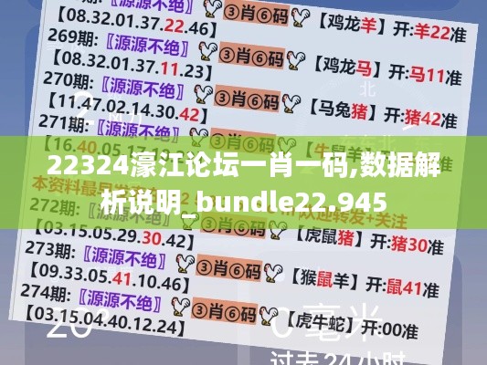 22324濠江论坛一肖一码,数据解析说明_bundle22.945