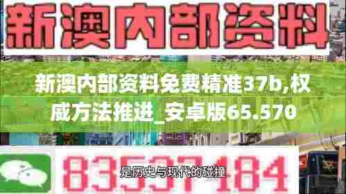 新澳内部资料免费精准37b,权威方法推进_安卓版65.570