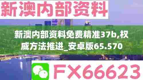 新澳内部资料免费精准37b,权威方法推进_安卓版65.570
