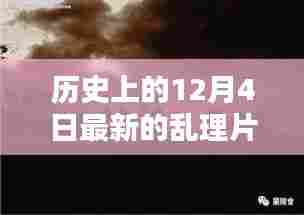 历史上的12月4日乱理片深度解析与全面评测