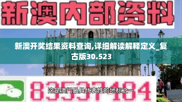 新澳开奖结果资料查询,详细解读解释定义_复古版30.523