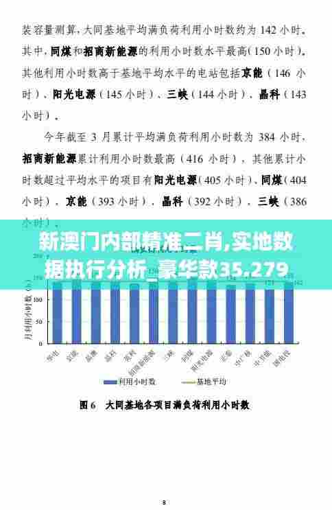 新澳门内部精准二肖,实地数据执行分析_豪华款35.279