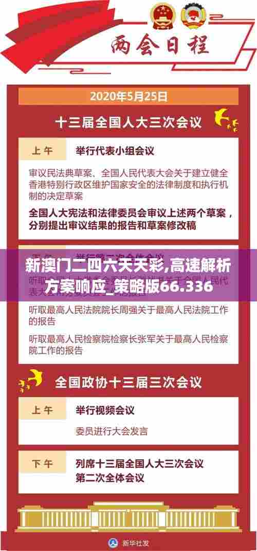 新澳门二四六天天彩,高速解析方案响应_策略版66.336