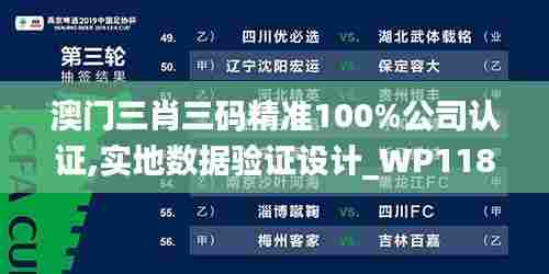 澳门三肖三码精准100%公司认证,实地数据验证设计_WP118.642