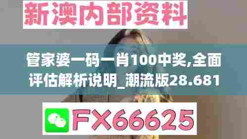 管家婆一码一肖100中奖,全面评估解析说明_潮流版28.681