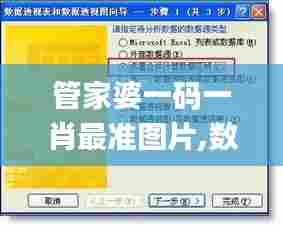 管家婆一码一肖最准图片,数据整合实施_入门版46.312