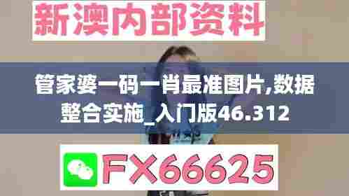 管家婆一码一肖最准图片,数据整合实施_入门版46.312