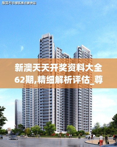 新澳天天开奖资料大全62期,精细解析评估_尊贵版14.313