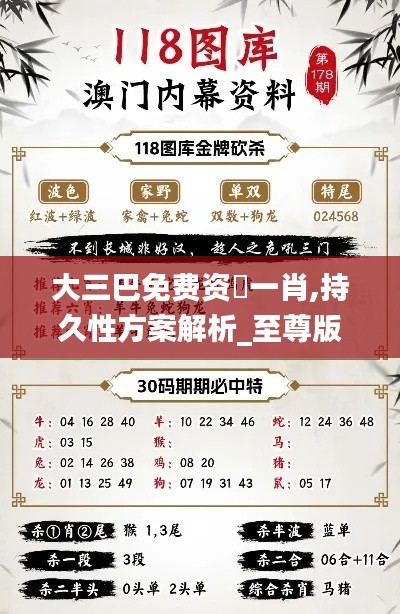 大三巴免费资枓一肖,持久性方案解析_至尊版7.816