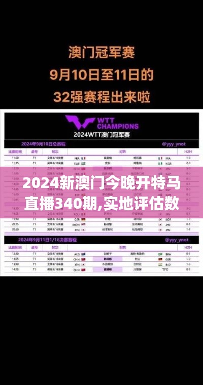 2024新澳门今晚开特马直播340期,实地评估数据方案_模拟版3.952-1