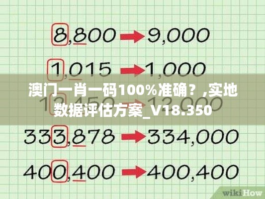 澳门一肖一码100%准确？,实地数据评估方案_V18.350