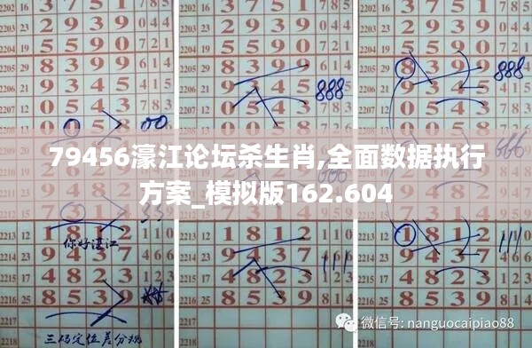 79456濠江论坛杀生肖,全面数据执行方案_模拟版162.604