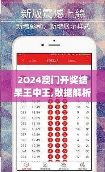 2O24澳门开奖结果王中王,数据解析支持方案_iShop26.239