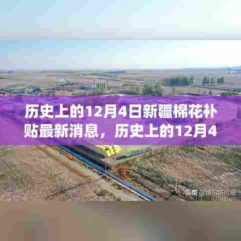 历史上的12月4日,新疆棉花补贴最新动态与智能棉业科技重塑未来