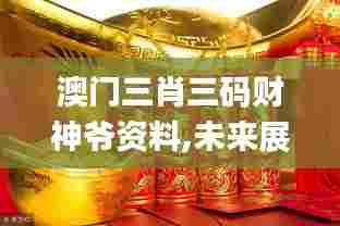 澳门三肖三码财神爷资料,未来展望解析说明_Linux42.625