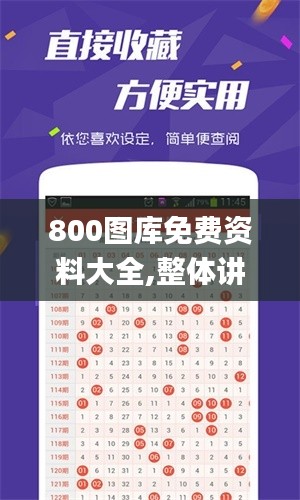800图库免费资料大全,整体讲解执行_pack189.711