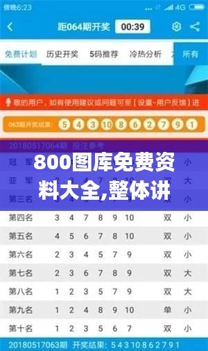 800图库免费资料大全,整体讲解执行_pack189.711