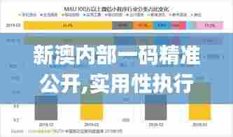 新澳内部一码精准公开,实用性执行策略讲解_手游版197.548