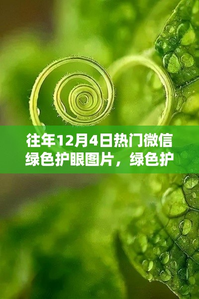 历年十二月四日微信绿色护眼图片回顾,绿色护眼风潮来袭!
