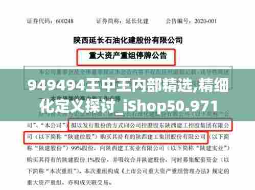949494王中王内部精选,精细化定义探讨_iShop50.971