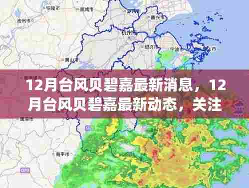 关注贝碧嘉台风最新动态,热带风暴的最新消息