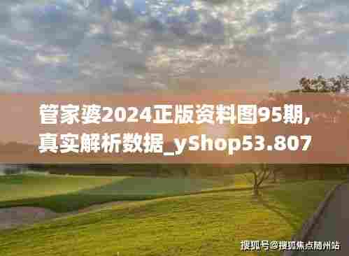 管家婆2024正版资料图95期,真实解析数据_yShop53.807