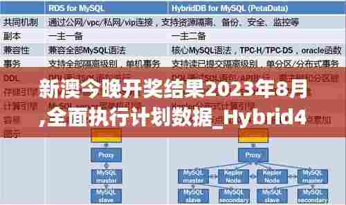 新澳今晚开奖结果2023年8月,全面执行计划数据_Hybrid42.213