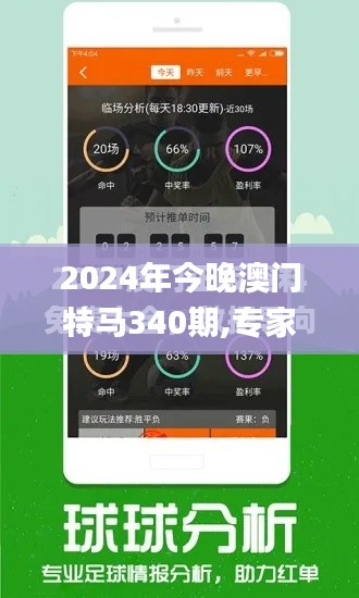 2024年今晚澳门特马340期,专家解析意见_DX版152.795-7
