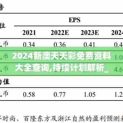 2024新澳天天彩免费资料大全查询,持续计划解析_钻石版188.496