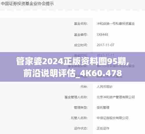 管家婆2024正版资料图95期,前沿说明评估_4K60.478