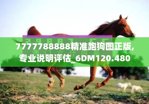 7777788888精准跑狗图正版,专业说明评估_6DM120.480