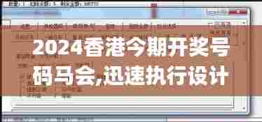 2024香港今期开奖号码马会,迅速执行设计方案_界面版67.411